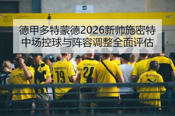de-jia-duo-te-meng-de-xin-shuai-shi-mi-te-zhong-chang-kong-qiu-yu-zhen-rong-tiao-zheng-quan-mian-ping-gu-2-950.jpg